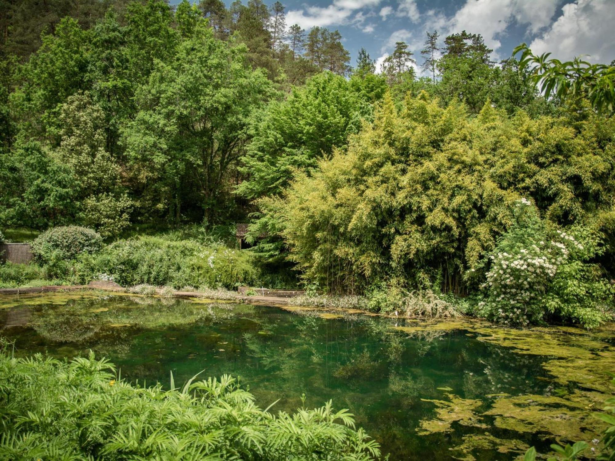 Gite Moulin de lAlbarède Saint-Cybranet Extérieur photo